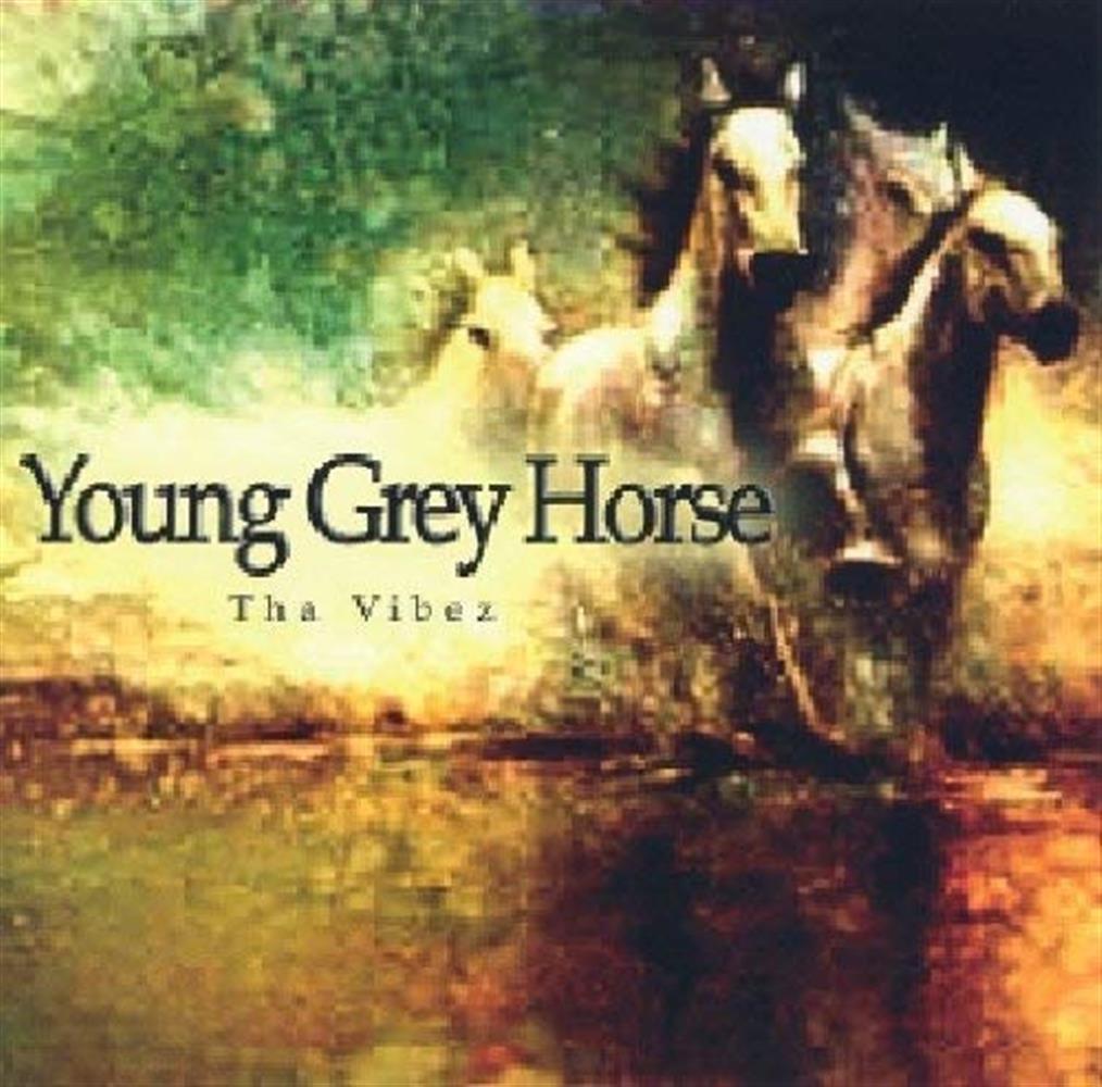 The Vibez - Young Grey Horse Society (Audio CD)