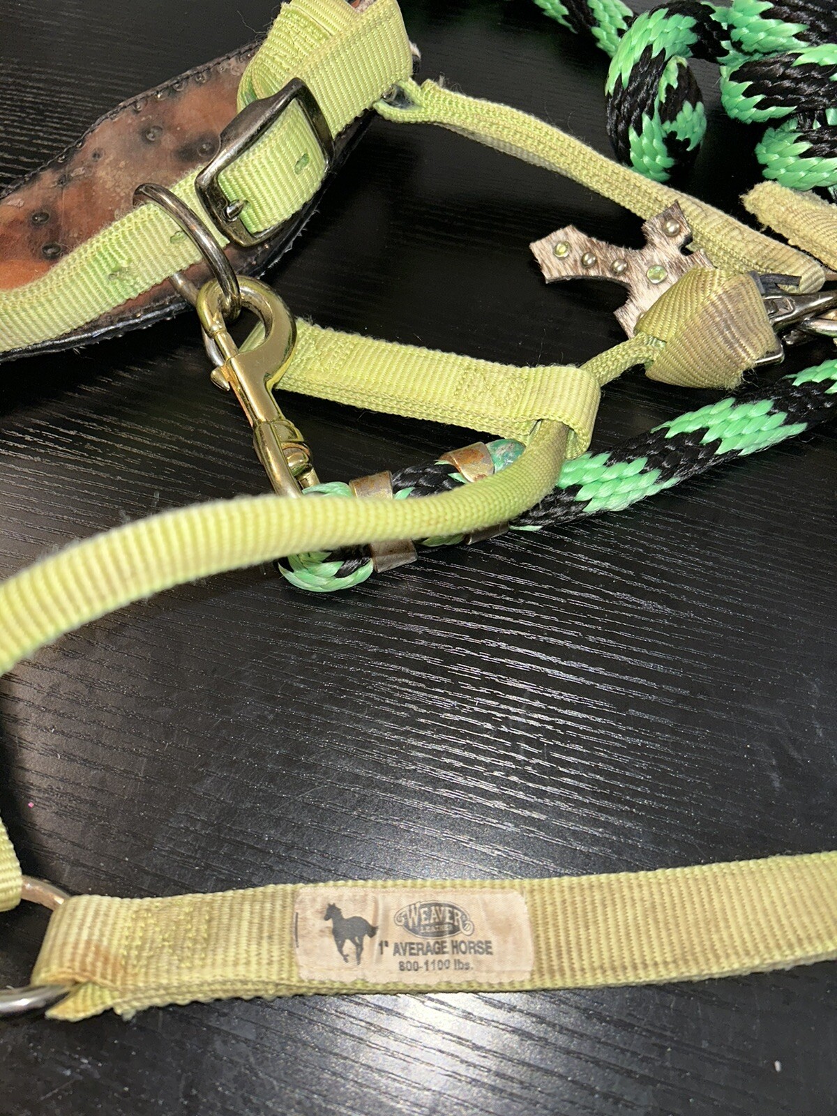 Picture 5 of 5