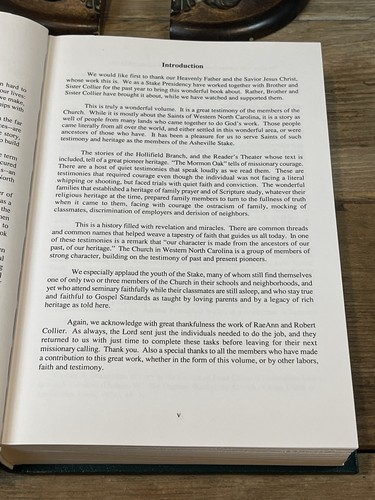 The Asheville Stake Story 1997 Erstausgabe - Bild 11 von 18