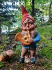 Bild 7 von 8