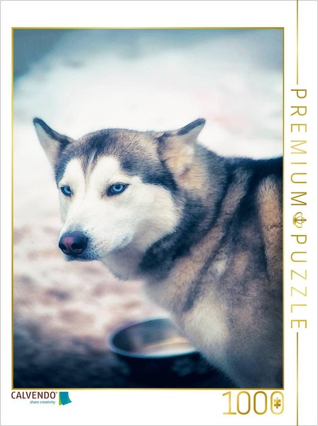 Calvendo Puzzle An Image From The Huskies Calendar - Artwork | 1000 Pieces, Fini-image