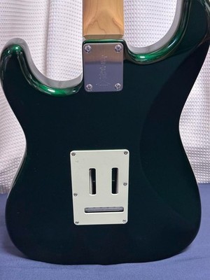 Fujigen NST11 RAL-CAG Electric Guitar Japanese Solid Body