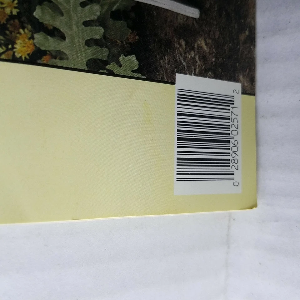 Summertime Fashion Doll Wardrobe Leaflet 2571 - Leisure Arts 0289 - Image 4 of 4