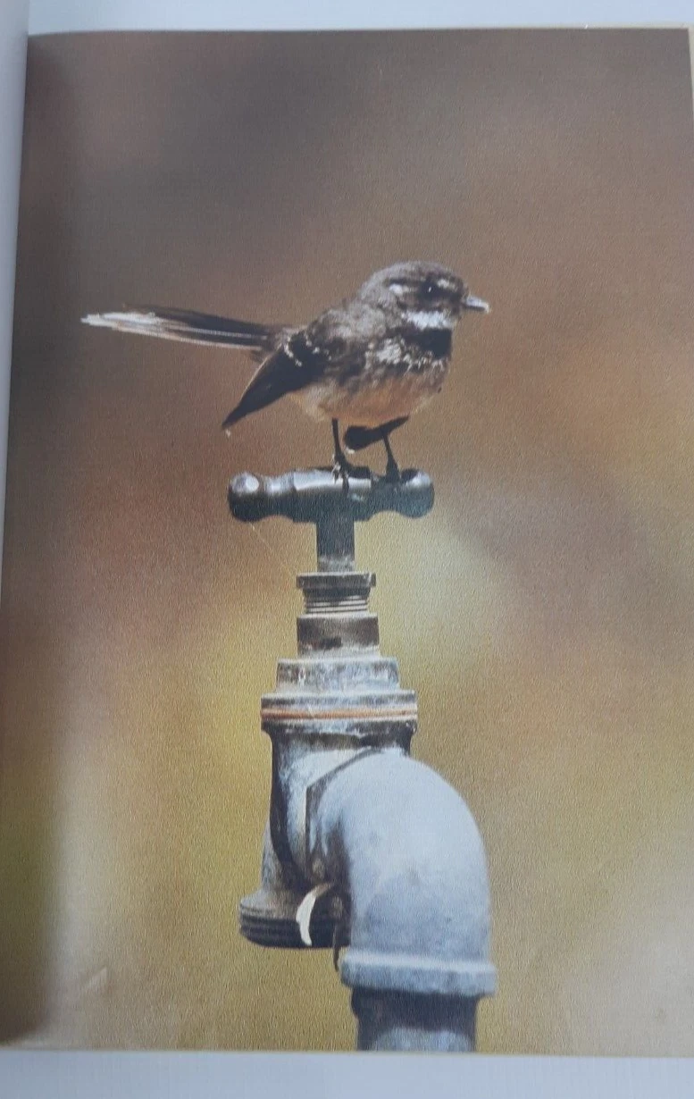 Picture 15 of 16