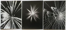 Anonymous 3 Photos - Fireworks Abstraction Movement - 1970 Film Prints -