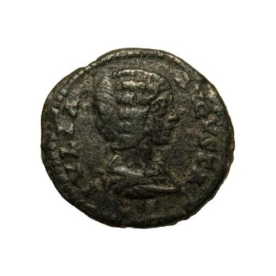 Ancient Roman Coin: Limes Denarius, Julia Domna, Wife of Septimius Severus
