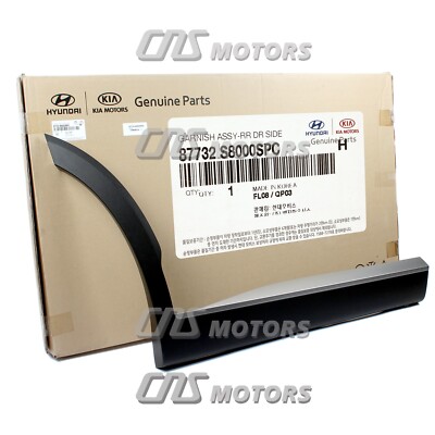 ⭐GENUINE⭐ Rear Door Lower Molding RIGHT RH for 2020-2024