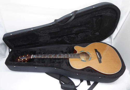 Takamine Ltd2023 Genuine Semi-Hard Case  Eco Acoustic Guitar Wg5095