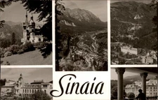 RPPC Sinaia Romania vintage real photo postcard g847