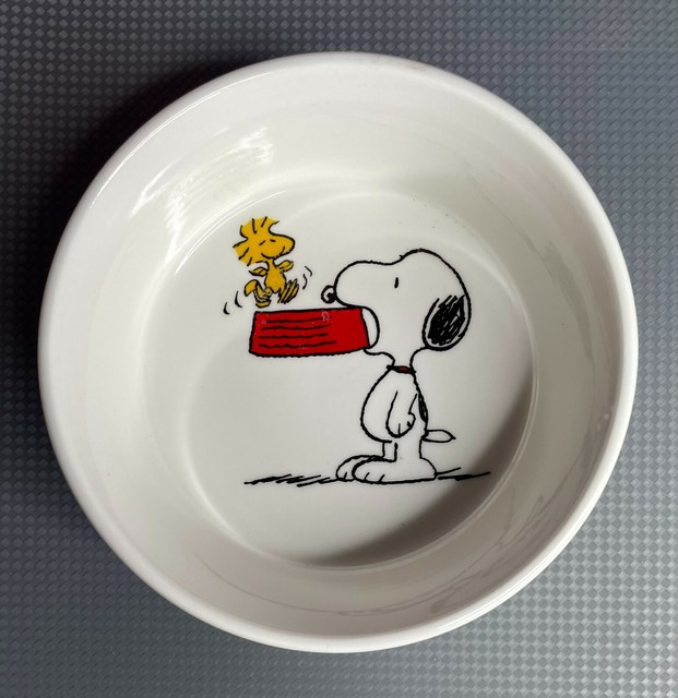 Peanuts Snoopy With Charlie Brown Round Pet Bowl Stoneware Woodstock Blue For Sale Online Ebay
