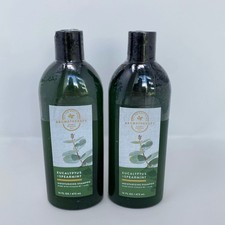 Bath & Body Works Eucalyptus Spearmint Shampoo 2-Pack 16oz Green