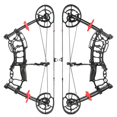 Compound Bow 40-65lbs Archery Steel Ball Arrows Dual-use Hunting Fishing - Imagen 7 de 11