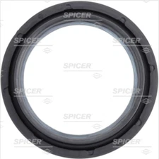 Dana Axle Shaft Seal Front for 77-02 Ford F-350 50381