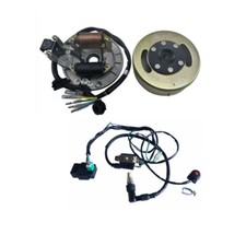 Full Wiring Harness Ignition Magneto Stator for 110cc 125cc Pit Bike Apollo SSR