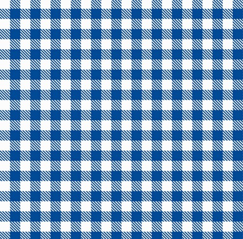 HERMOSA HOJA DE TELA IMPRESA SCHOO BUFFALO GINGHAM CHECK... ARCOS PARA EL CABELLO - Imagen 10 de 20