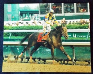 STREET SENSE & CALVIN BOREL 2007 KENTUCKY DERBY 11X14 HORSE RACING PHOTO!  eBay