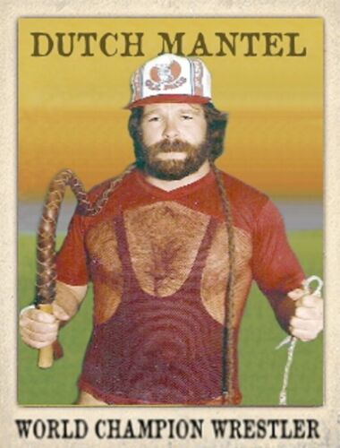 LJACards World Champion Wrestlers Series 2 Trading Cards ACEO (2nd printing) - Picture 22 of 37