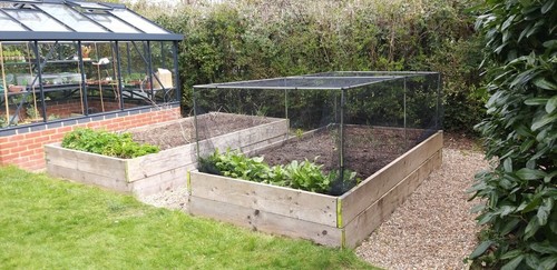 Butterfly Netting Stop Cabbage Whites Garden Net Net Various sizes - Black - Bild 2 von 3