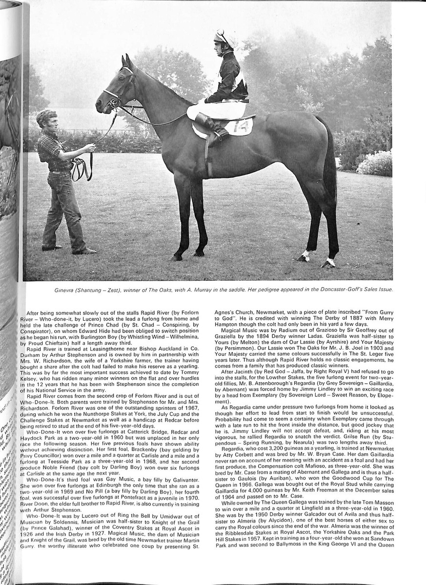 70年代 イギリスの競走馬 雑誌「The British Racehorse」 70年代 イギリスの競走馬 雑誌「The British Racehorse」 本