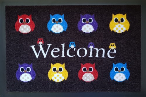 Fußmatte Eule Katze Hunde Fußmatten rutschfest Design Schmutzmatten OWL Cat Dog - Bild 11 von 34