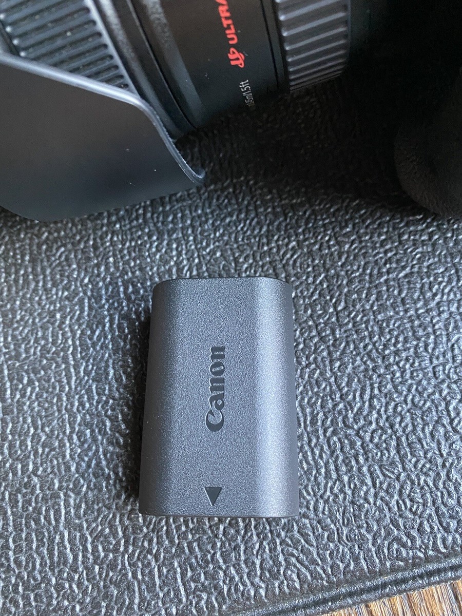 Canon EOS 80D With Canon EF 24-105mm IS Lens. With Battery Canon EOS 80D With Canon EF 24-105mm IS Lens. With Battery