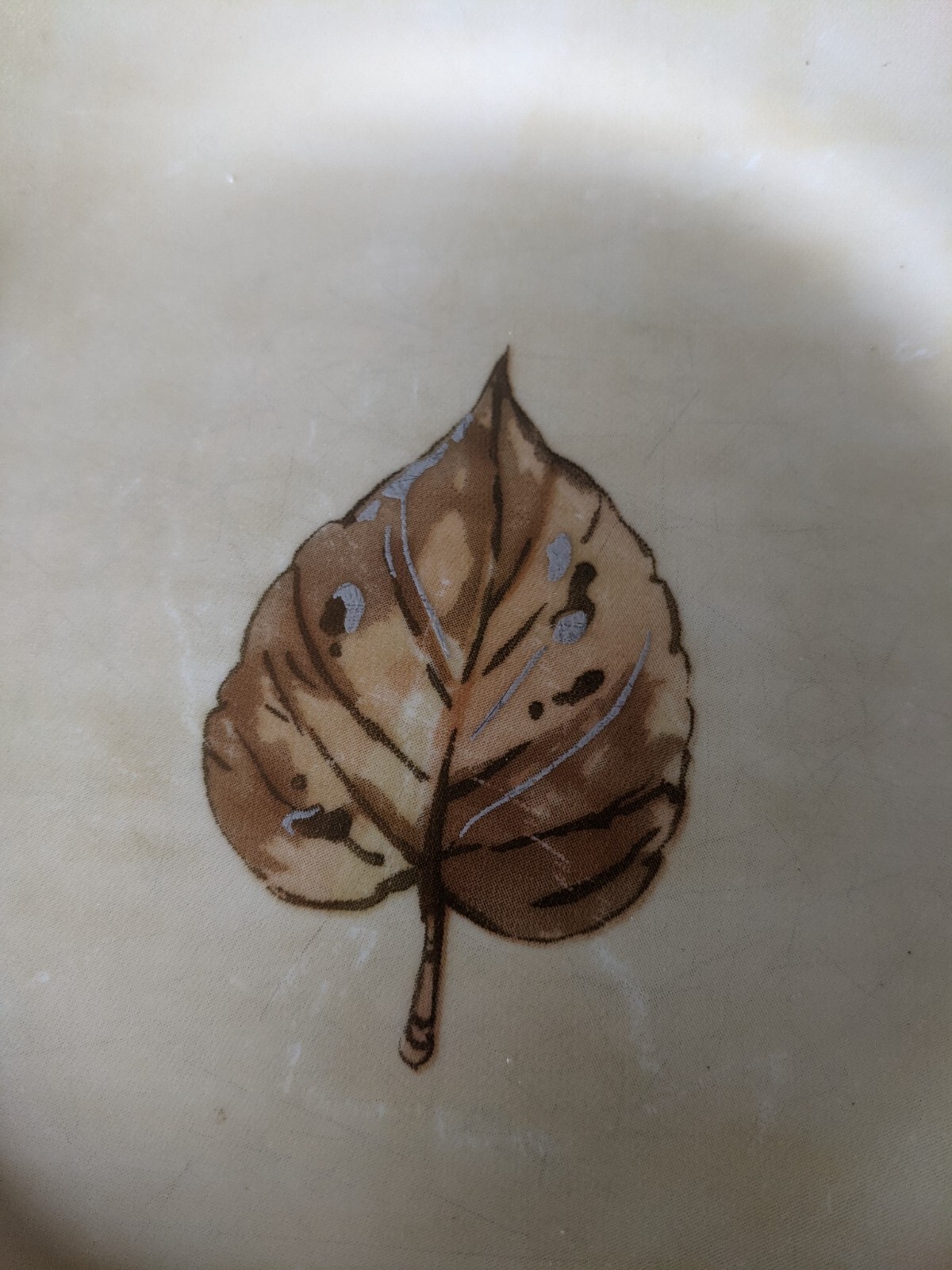 Picture 4 of 4