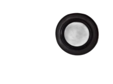 Gehl Manitou 091884 SEAL