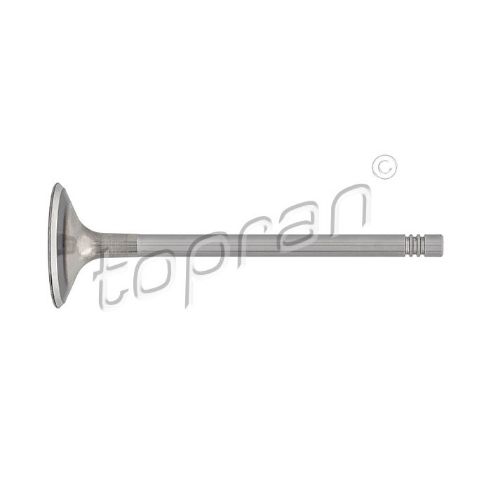 Soupape d'admission 06D109601K pour Seat Alhambra et Skoda Octavia II acier chrome