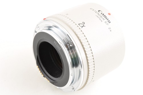 Teleobjetivo Canon EF 300mm F/4 L USM con extensor 1.4x 2x casi nuevo +5 #2592 - Imagen 19 de 24