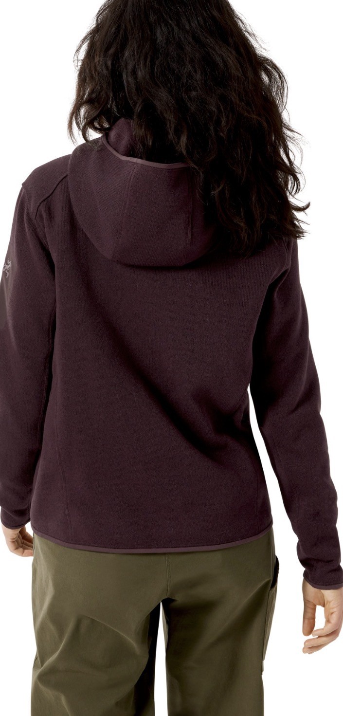 Arc'teryx Womens Covert Pullover Hoody Phantasm Heather M image 7