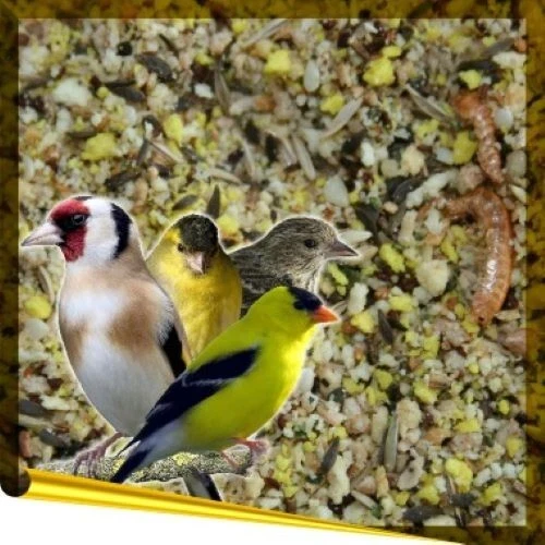 BIRDSANDMORE Complet Card 1kg für Vögel trockenes Eifutter Zeisige Stieglitze Cardueliden