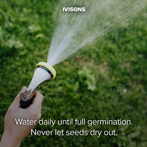 Ivisons Mix 8 Suitable For Heavy Clay Calk & Limestone Soil Meadow Grass Seed - Picture 9 of 19
