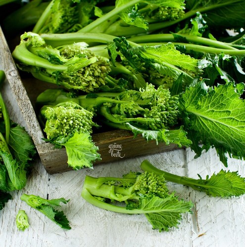 BIO Stängelkohl Cima Di Rapa Samen – Pflegeleicht, Nussig-senfartig, Ideal Für Garten Und Balkon – 0,6 G Saatgut Für Bis Zu 70 Pflanzen