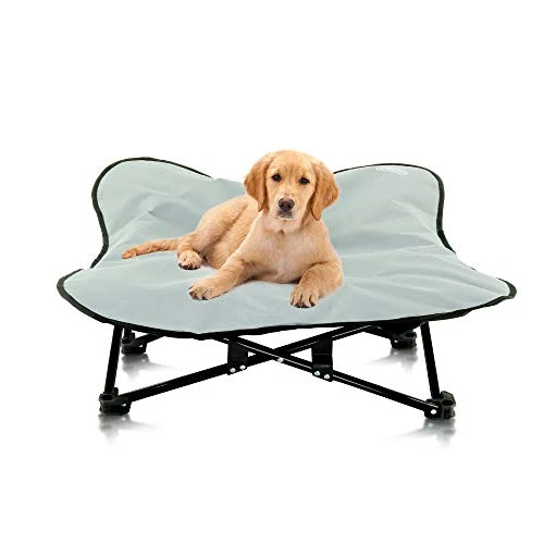 Folding pet cheap cot