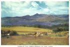 Glengarriff Co. Cork Cardall Ireland Irish Postcard Bantry Kenmare Cobduff