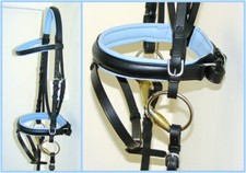 FSS German SKY BABY LIGHT BLUE Comfort Padded Poll Crank Dressage Riding BRIDLE 