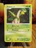 2007 Pokemon Mysterious Treasures Tropius #64 Extremely LP