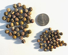 Leopard Skin Jasper Beads - 6mm - 8mm - Qty is 84 Total Beads