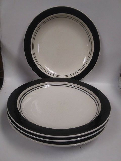 Set Of 4 Tienshan KITCHEN BASICS COLORS Wide Band Dinner Plates ~ 11