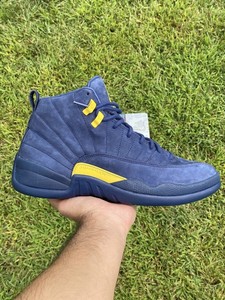 michigan jordan 12
