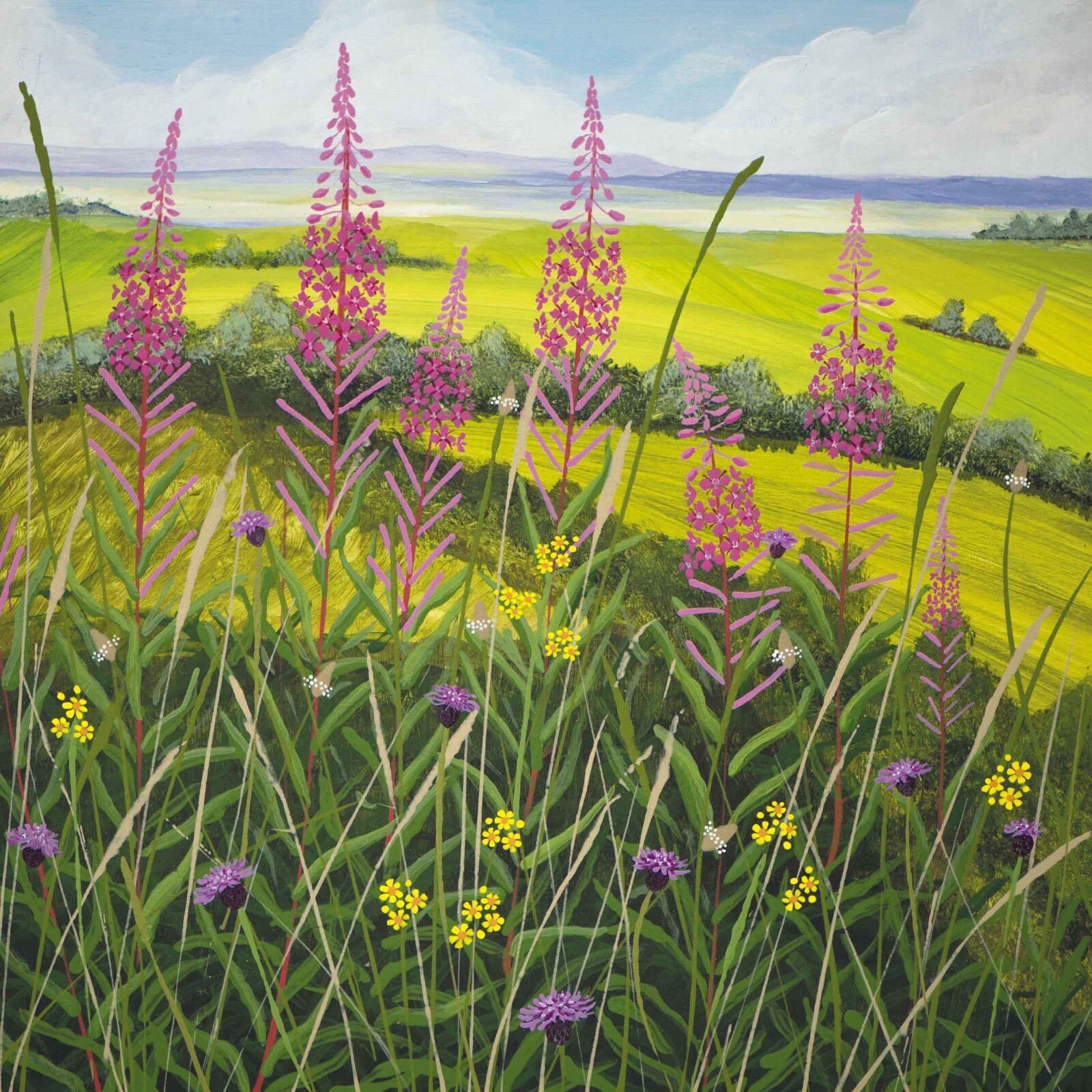 Willow Herb - Fine Art Blank Greeting / Birthday Card -  Meadow Wild  Flowers