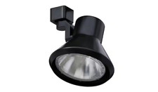 Juno 75-Watt Flare Black Track Lighting Head