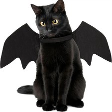 Halloween Bat Wings Costume For Your CAT And PET