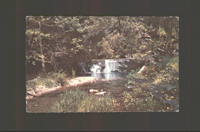 SIDMOUTH, THE WATERFALL, Devon - Vintage POSTKARTE