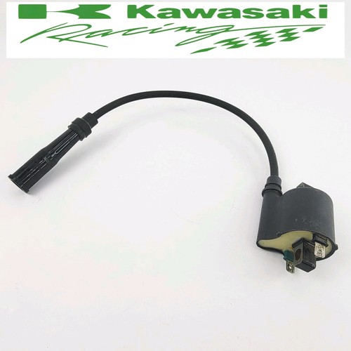 2006 2003-2006 KAWASAKI KFX 400 KFX400 OEM IGNITION COIL AND CAP 21121-S006