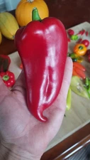 Ajvarski Sweet Pepper Seeds 10 Organic Seeds *Free Shipping*