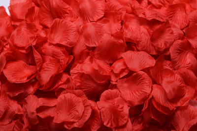 1000pcs Various Colors Silk Flower Rose Petals Wedding Party Decorations