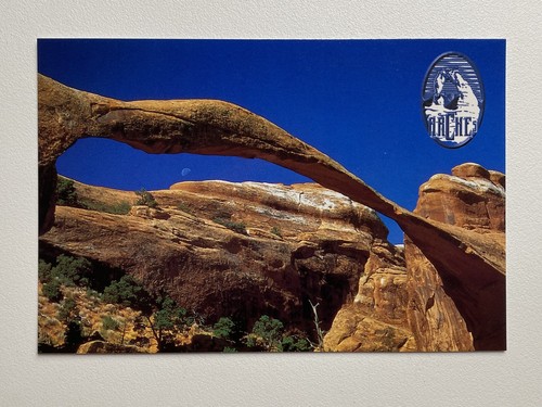 Arches National Park Postcard Landscape Arch Utah NEW Unposted | eBay