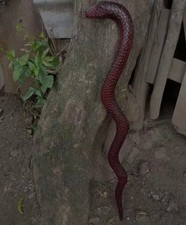 Wooden walking stick hand carved cobra snake handmade walking cane animal.