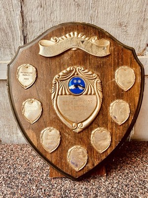   Große Trophäe Schild 9,5'' 1988 Vintage Silber Holz Plakette Geschichte ManCave Prop
